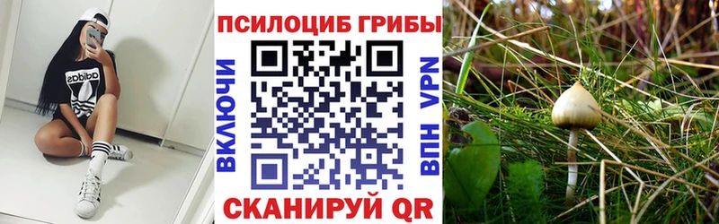 Псилоцибиновые грибы мухоморы  Аткарск 